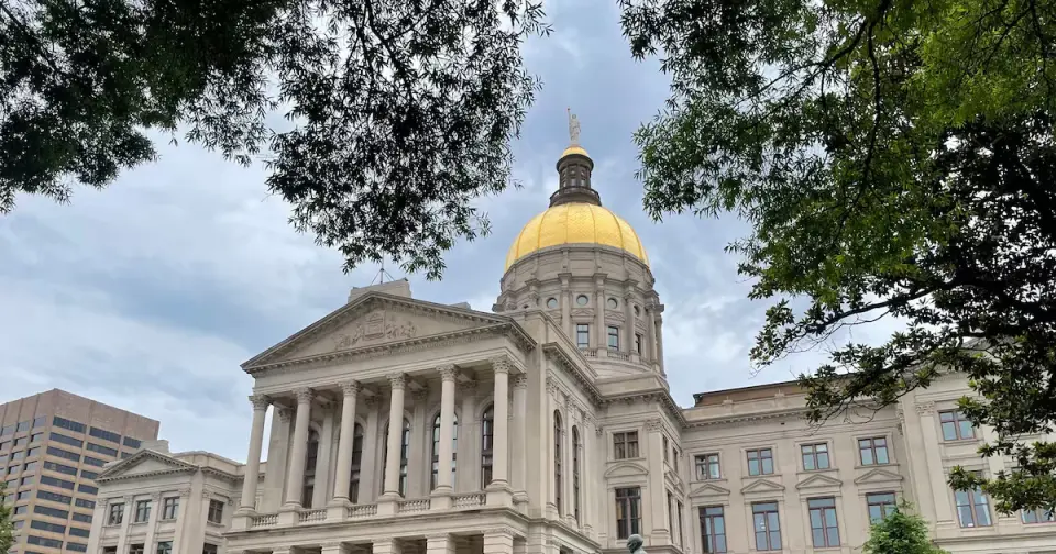 Georgia Election Board Director Bypasses Chair to Demand Federal Ban on Voting Machines