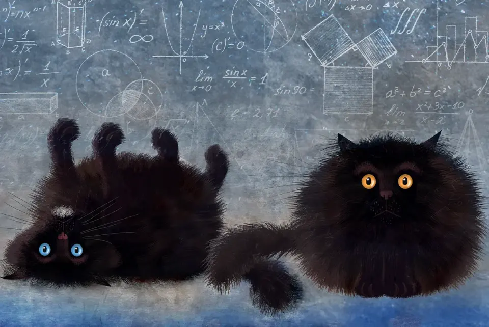 When Schrödinger Met the Box: Reassessing Quantum Reality