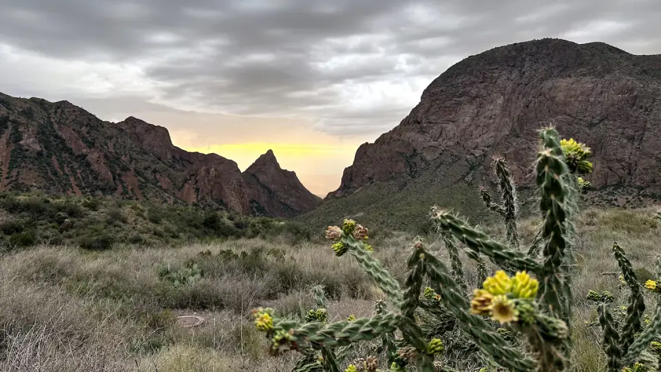 Trump Administration Seeks Supreme Court Ruling to Resume Big Bend Border Construction