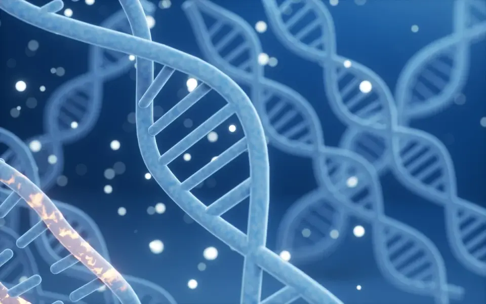 Rare FNIP1 mutation acts like a GLP-1 drug, boosting fat burn and lowering disease risk