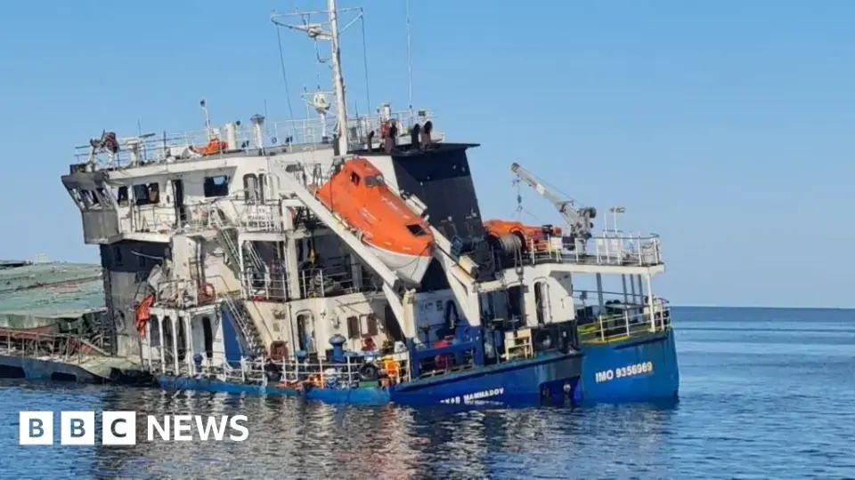 Turkish Grain Carrier Sinks in Black Sea After Russian Drone Strike