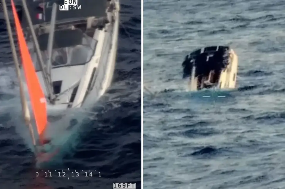 Sperm Whale Pod Sinks Yacht Tai Tam in Remote Pacific; Four Crew Rescued After 18-Hour Ordeal