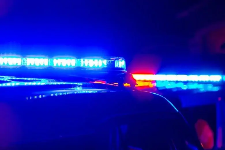 Sussex County Hunter Faces Felony Charges After Fatal Shooting of Woman Mistaken for Deer