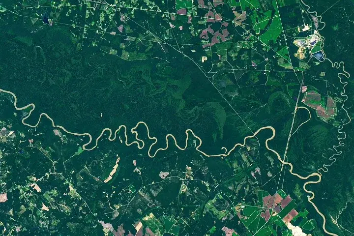 Satellite imagery reveals the dynamic floodplain ecology of Congaree National Park