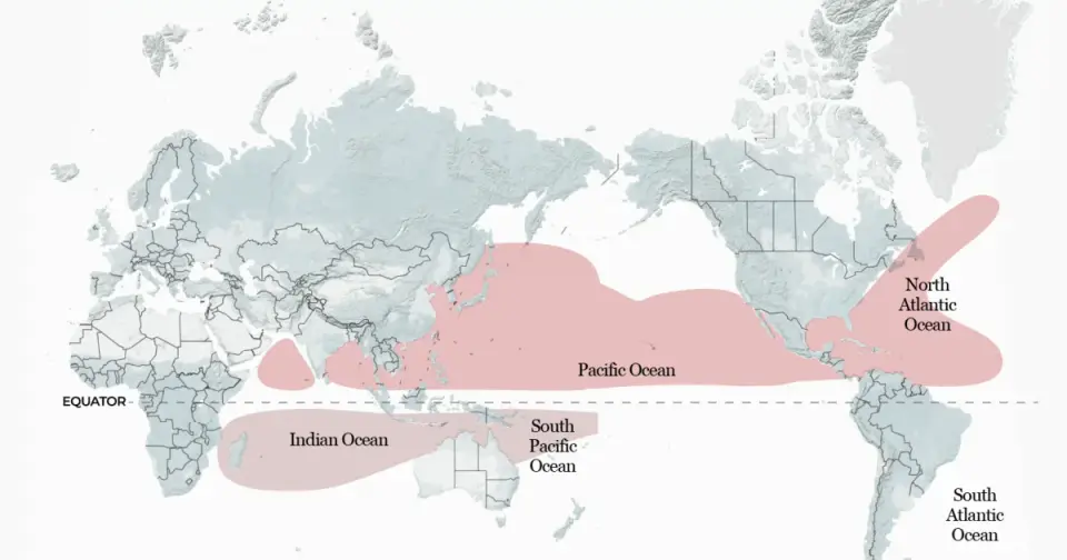 El Niño reshapes where tropical storms form this year