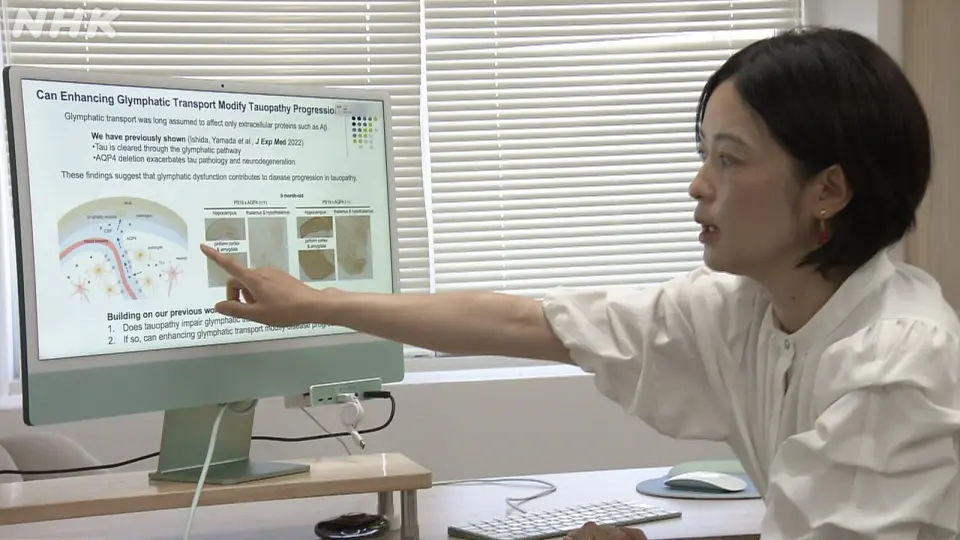 Japanese Study Links Brain Waste Clearance to 40% Drop in Tau Protein