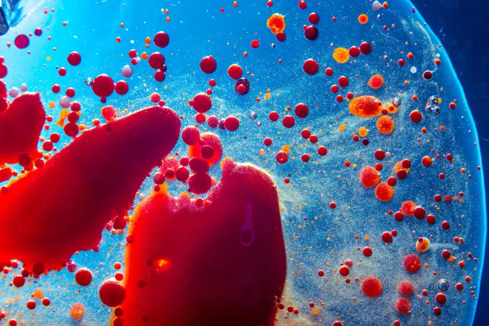 Ancient Bloodline Traced Back 700 Million Years