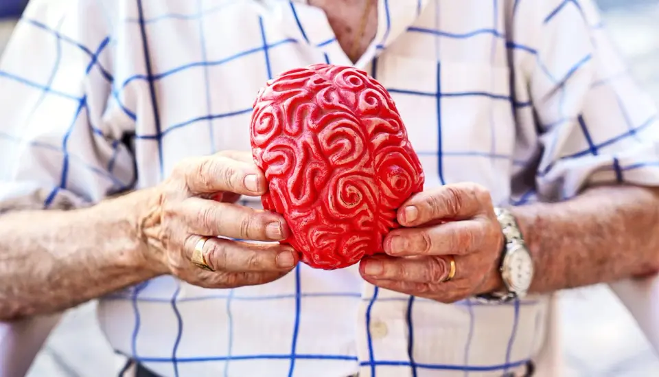 Intranasal spray resets aging brain and sharpens memory