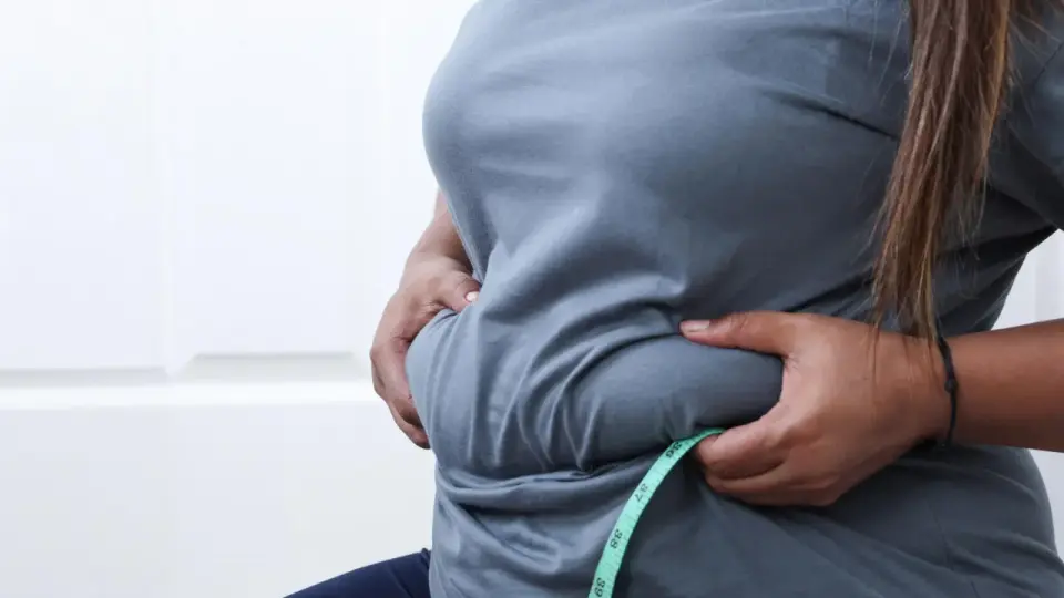 Aging reveals a new fat-making stem cell driving belly fat growth