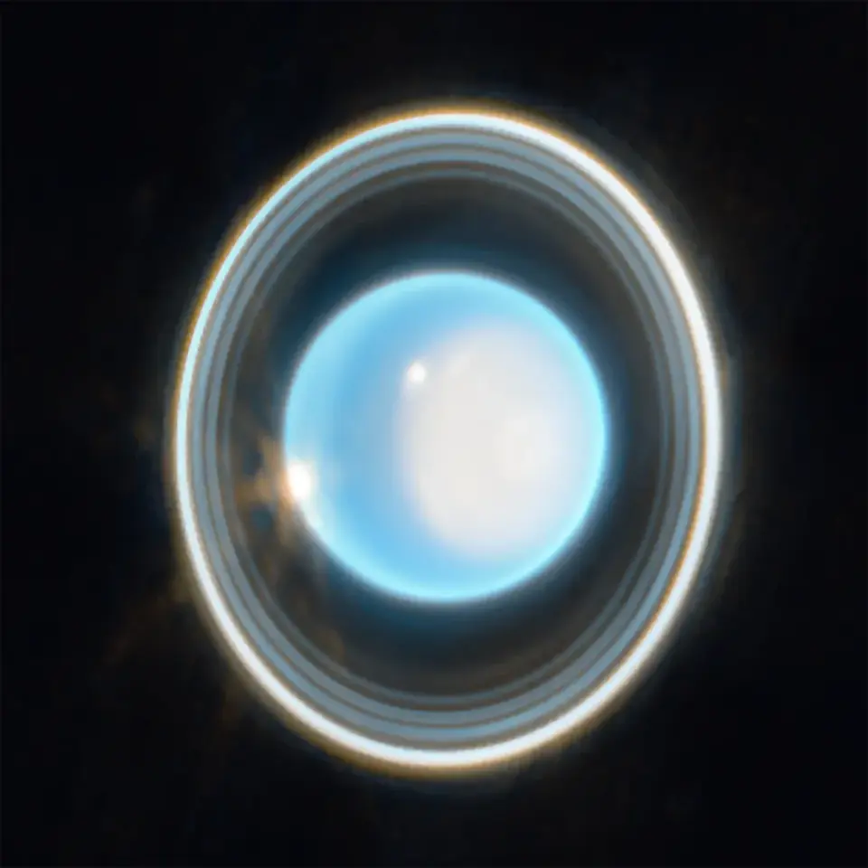 Contrasting Hues on Uranus’ Rings Suggest Distinct Origins