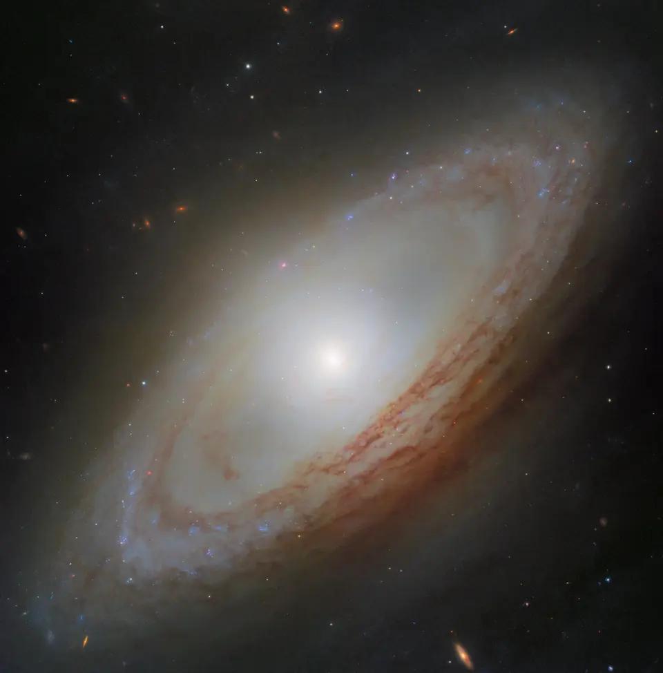 Hubble reveals NGC 4698’s perpendicular bulge and active black hole