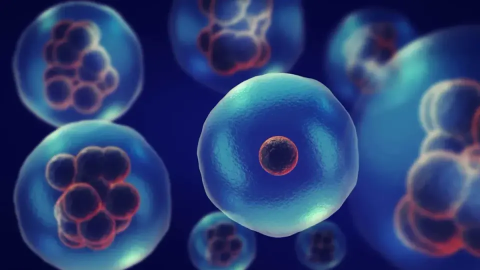 New Method Enhances Mitochondrial Function Without Disrupting Cellular Activity