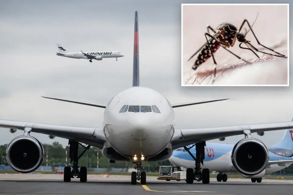 Plane-borne malaria strikes Frankfurt Airport, causing two deaths