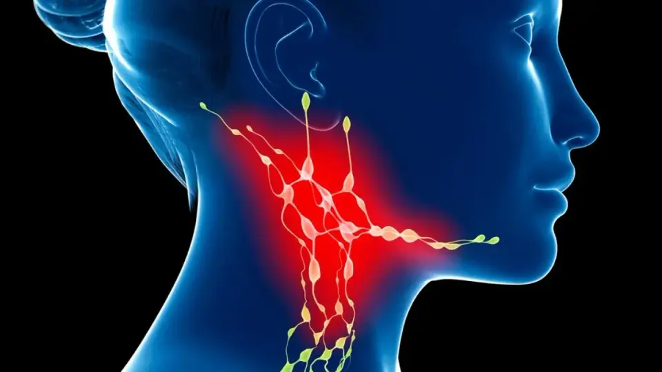 Neck Lymph Nodes May Gate the Brain's Aging Process