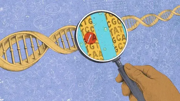 The Complex Recipe of Personality: Genes Meet Life Experience