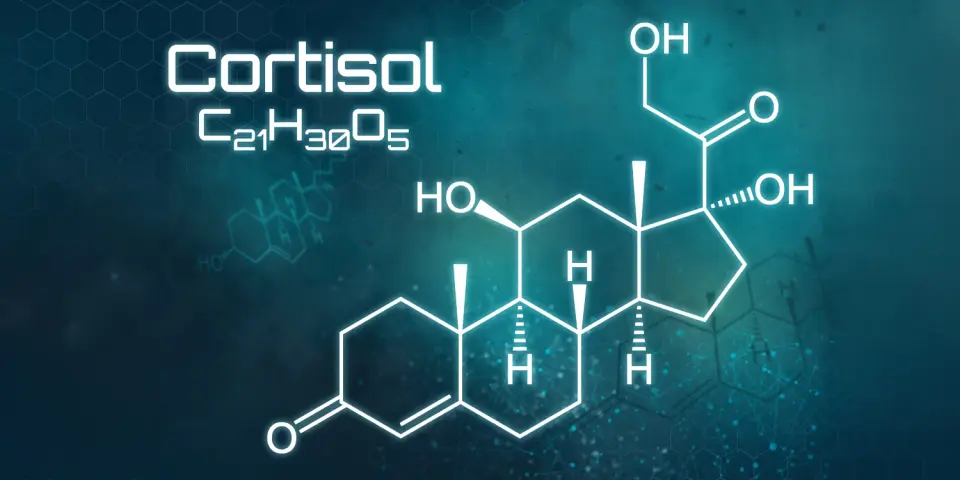 Ketamine's morning cortisol rise parallels rapid relief from suicidal thoughts in depression