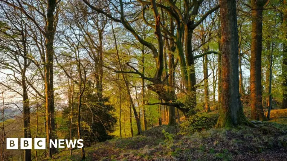 Attenborough's 100th birthday sparks 11 nature recovery zones across Gloucestershire