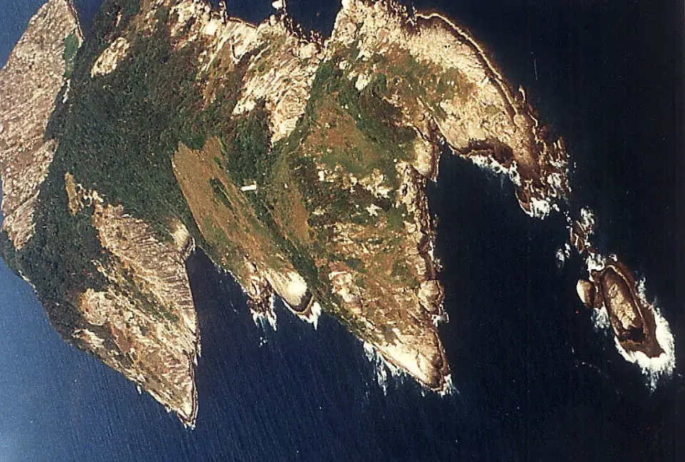 Brazil’s Snake Island: A venomous, off-limits haven for researchers