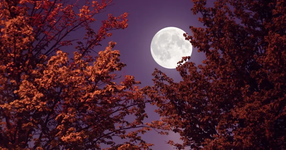 Hunter’s Moon in Taurus Peaks Oct 26, Highlighting Financial Caution and Inner Stability