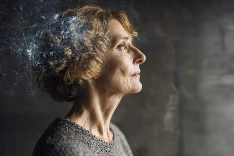 Estrogen Loss May Erode the Brain's ECM, Elevating Women's Alzheimer's Risk