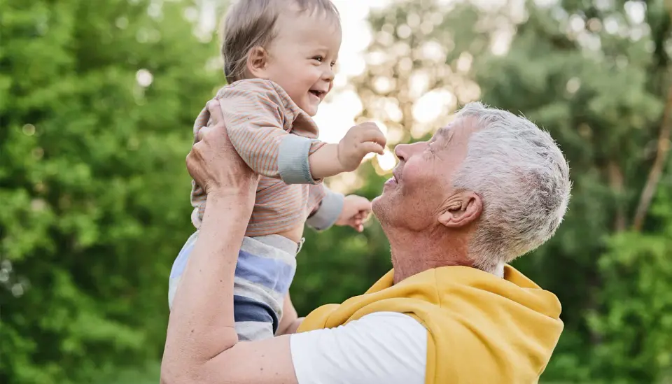 Nerve-Muscle Communication Breakdown Identified as Key Driver of Age-Related Muscle Weakness