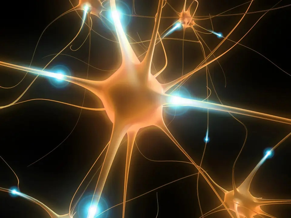 Stress protein linked to resilience against Alzheimer's decline, study finds