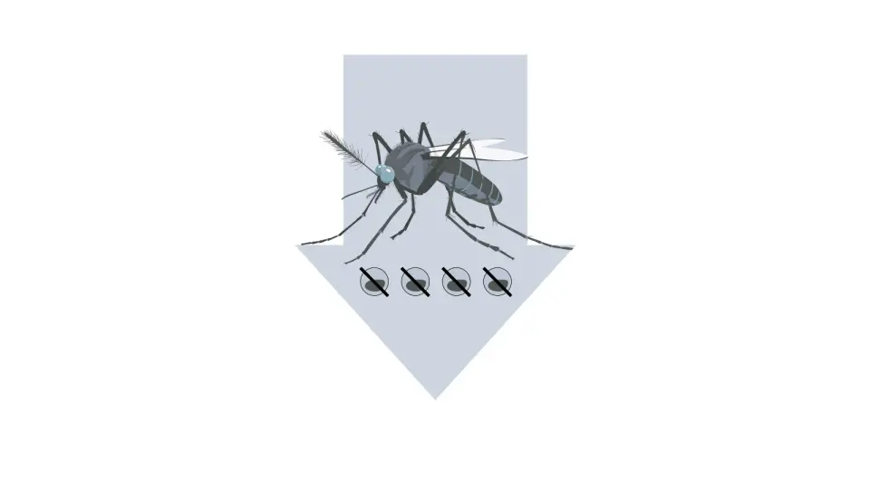 Google backs large-scale sterile-mosquito release to curb West Nile in CA and FL