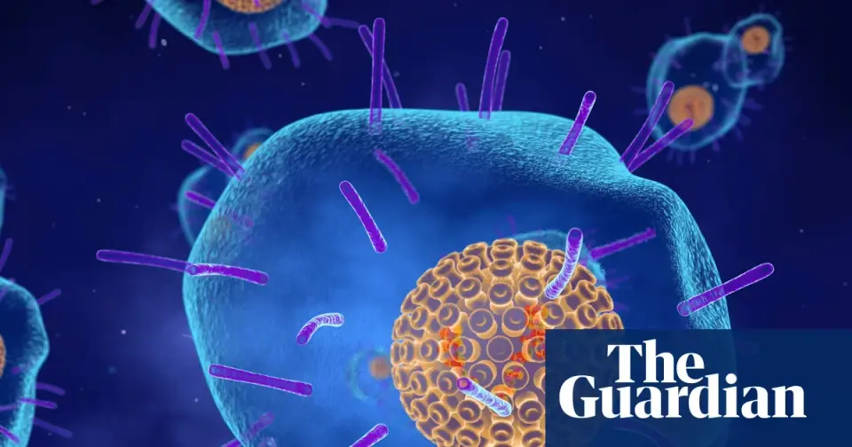 Shingrix could cut heart attack and stroke risk, big US study suggests