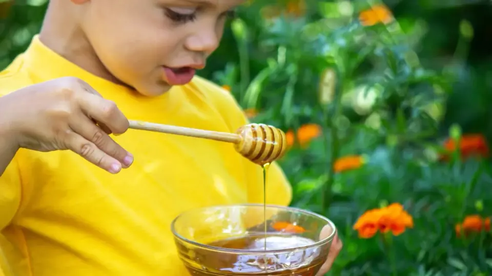 Honey vs. Sugar: Nutritional Differences Do Not Justify Health Claims