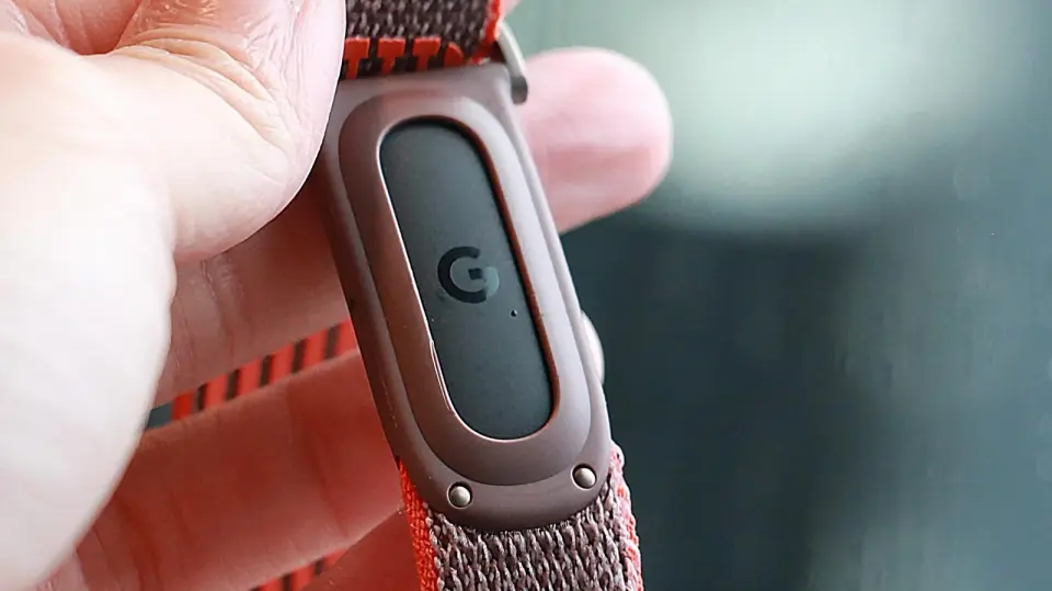 Fitbit Edge Leak Reveals Mid-Range Tracker with Screen and Pixel 11 Colors