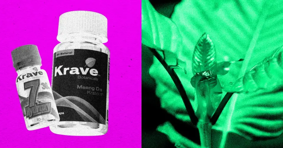 DEA Targets Kratom's Potent Additive: Temporary Schedule I Plan for 7-OH