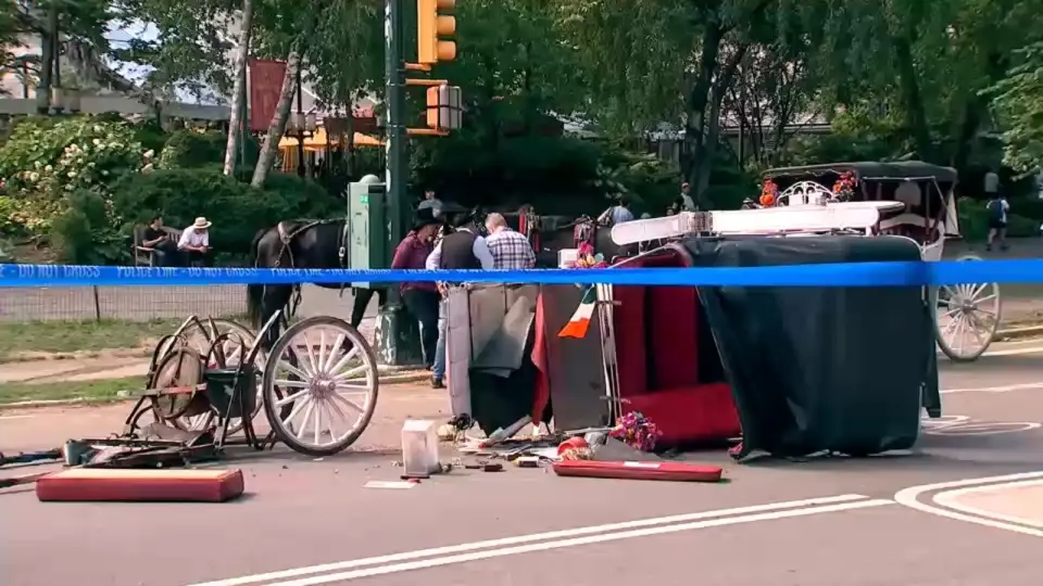 Central Park carriage horse breaks loose, tourist killed
