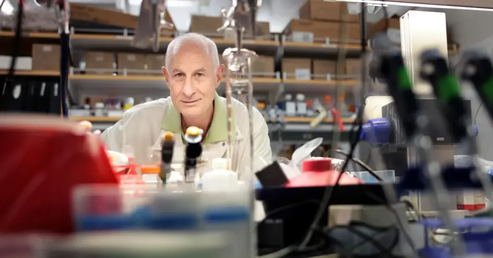 Regulatory Clash as Online Peptide Craze Outpaces Science