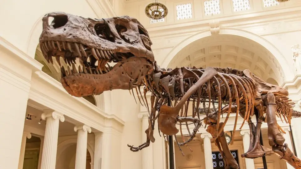 Giant Jaws, Tiny Arms: Study Links T. rex Arm Reduction to Skull Power