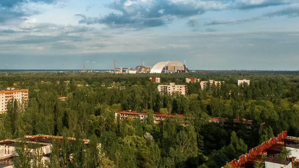 Chernobyl Exclusion Zone Emerges as a Haven for Large Mammals