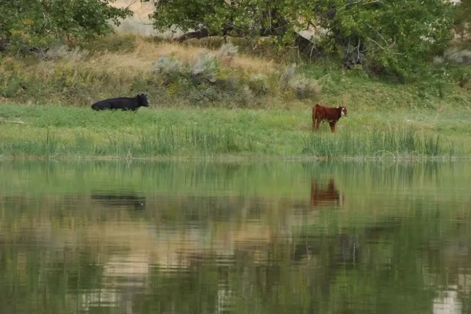 Interior Dept. reverses conservation-first rule for public lands