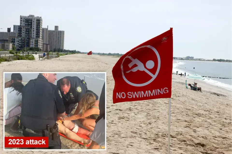 Bull Shark Swarm Triggers Rockaway Beach Shutdown Amid NYC Heatwave