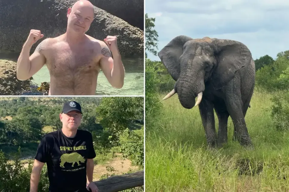 Park Founder Who Said He'd Die by Elephant Is Fatally Trampled
