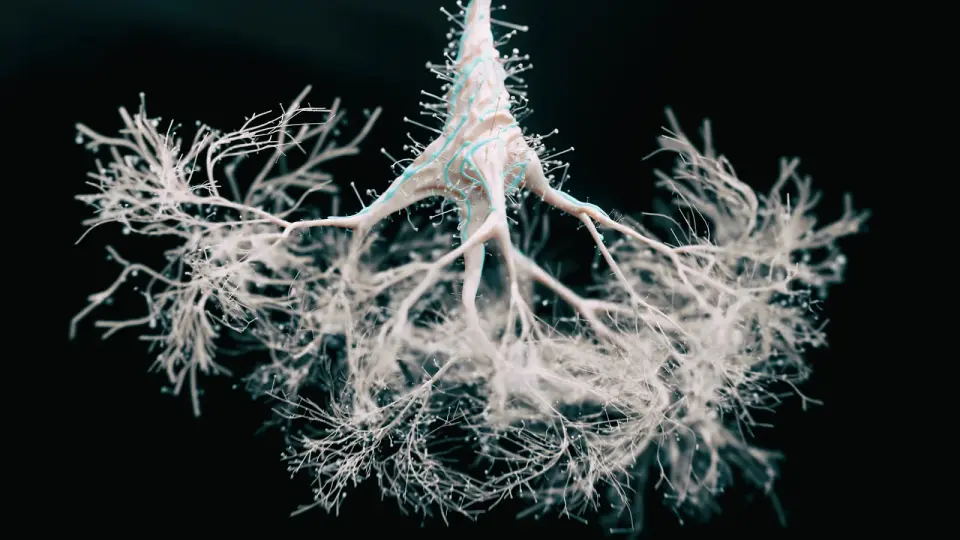 Water Caps Identified as Key Mechanism in Tau Protein Misfolding for Alzheimer's