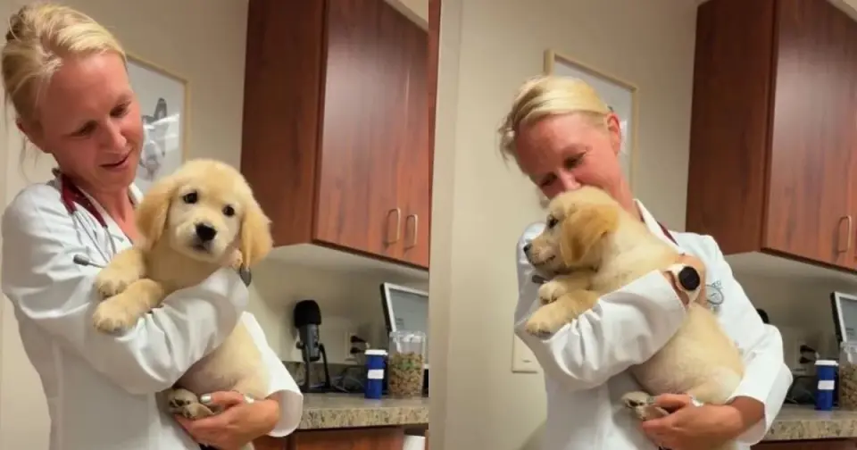 Puppy’s First Vet Visit Turns Into a Heartwarming Cuddle Moment
