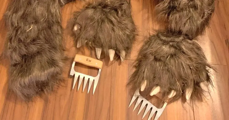 Bear-Costumed Fraud: SoCal scheme pries payouts from luxury cars, trio jailed
