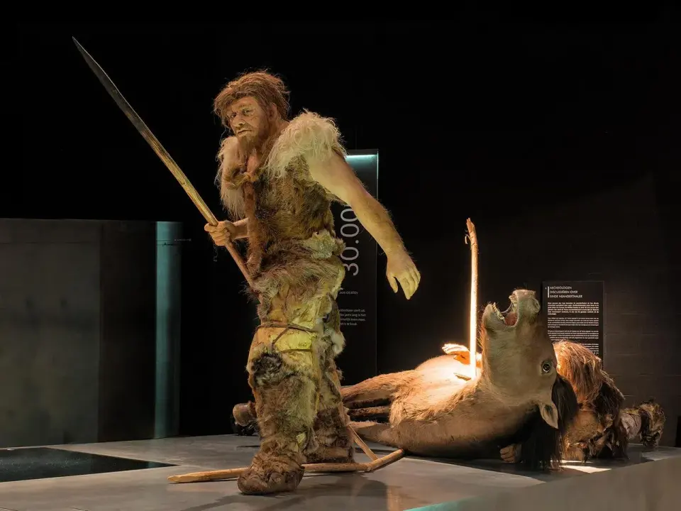 Payre Teeth Reveal Regional Neanderthal Diversity Across Early Europe