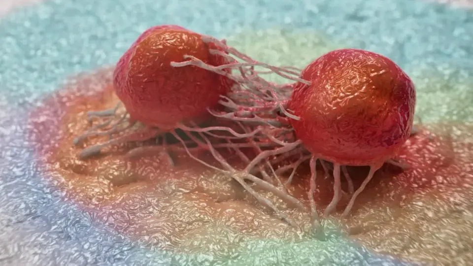 KRAS-targeting PCAIs halt pancreatic cancer cell migration in lab study