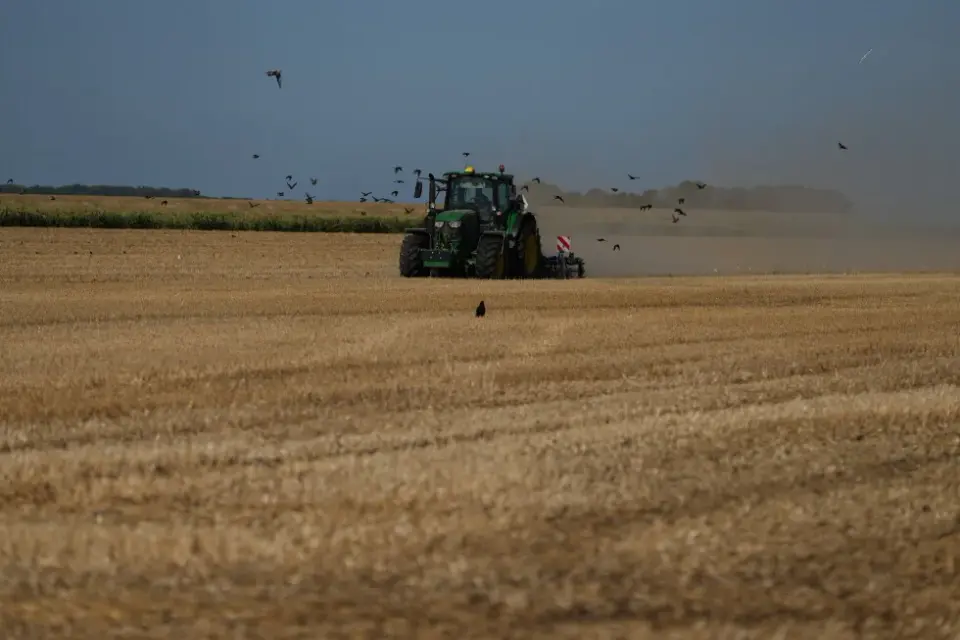 Heat waves deepen Europe's drought, shrinking crops from the Netherlands to the Balkans