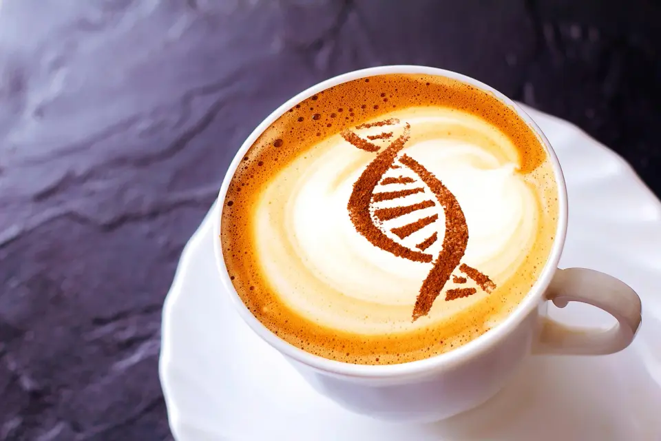 Coffee Activates an Ancient Cellular Energy Switch Linked to Longevity