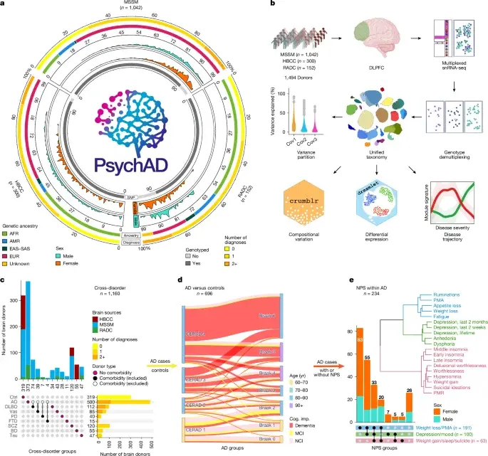 PsychAD Consortium Maps 6.3 Million Brain Cells to Link Genetic Risk with Cellular Disease Mechanisms