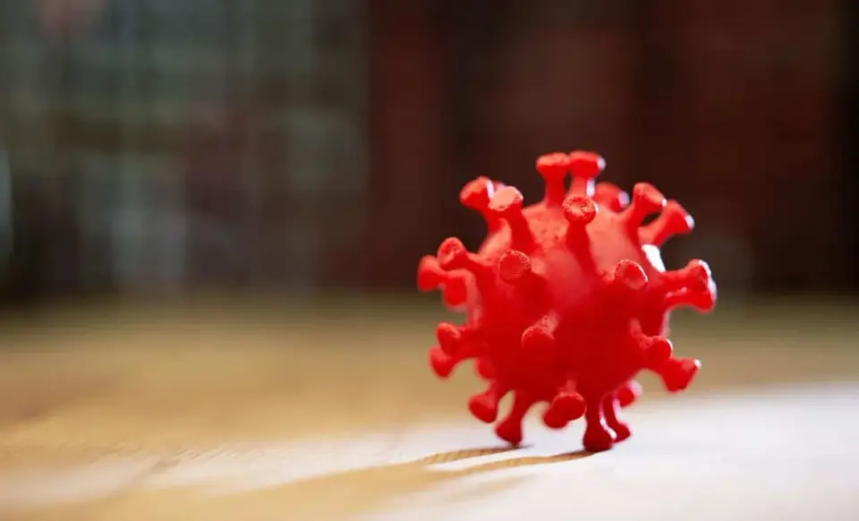 New Common Weakness in Enteroviruses Sparks Broad-Spectrum Drug Hope