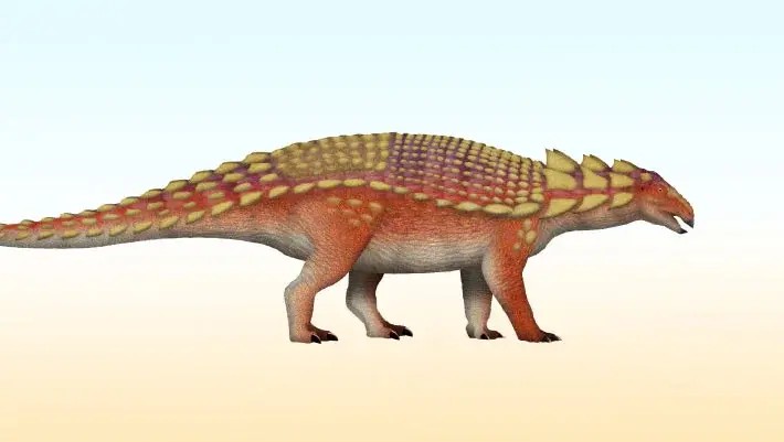 New Armored Dinosaur Nipponopelta yezoensis Found in Japan