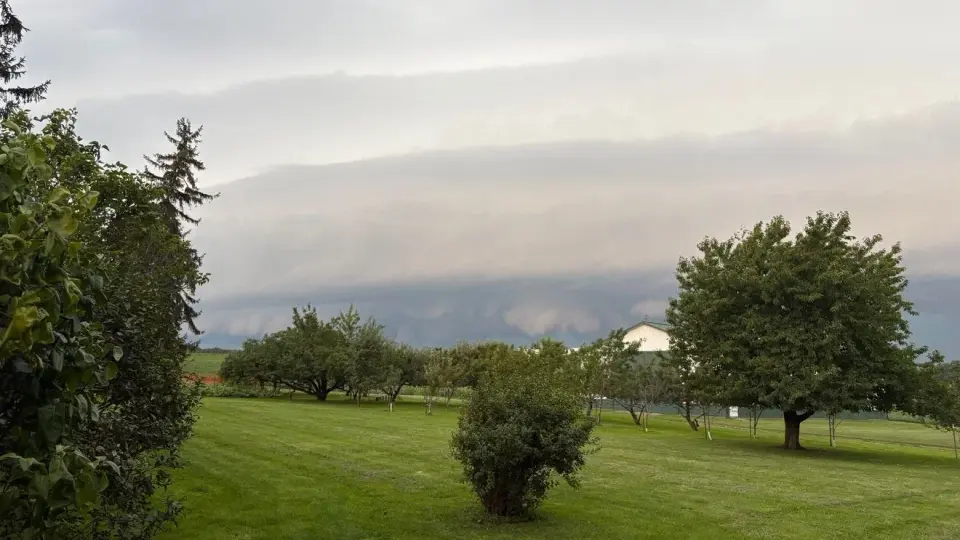 Three Tornadoes Confirmed in Western New York After Severe Storms