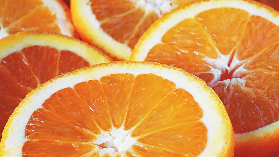 Orange Peel Restoration: How 12,000 Tons Freed a Costa Rican Park from Desolation